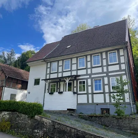 Buntspecht